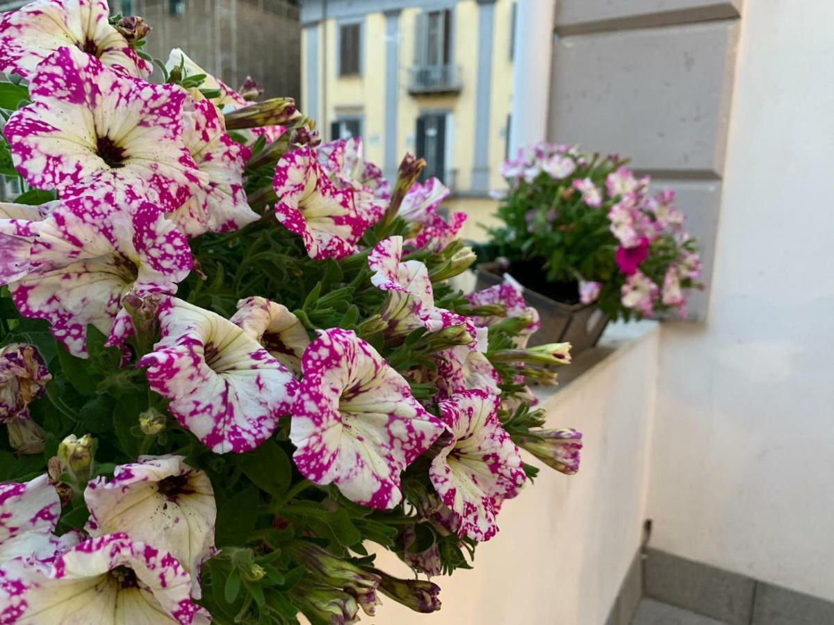 那不勒斯La Terrazza Sul Porto公寓 外观 照片